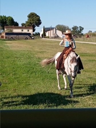 Gardian de camargue